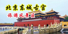 黑丝美女被操视频在线观看免费中国北京-东城古宫旅游风景区